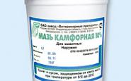 Мазь Камфорная 10% 200г